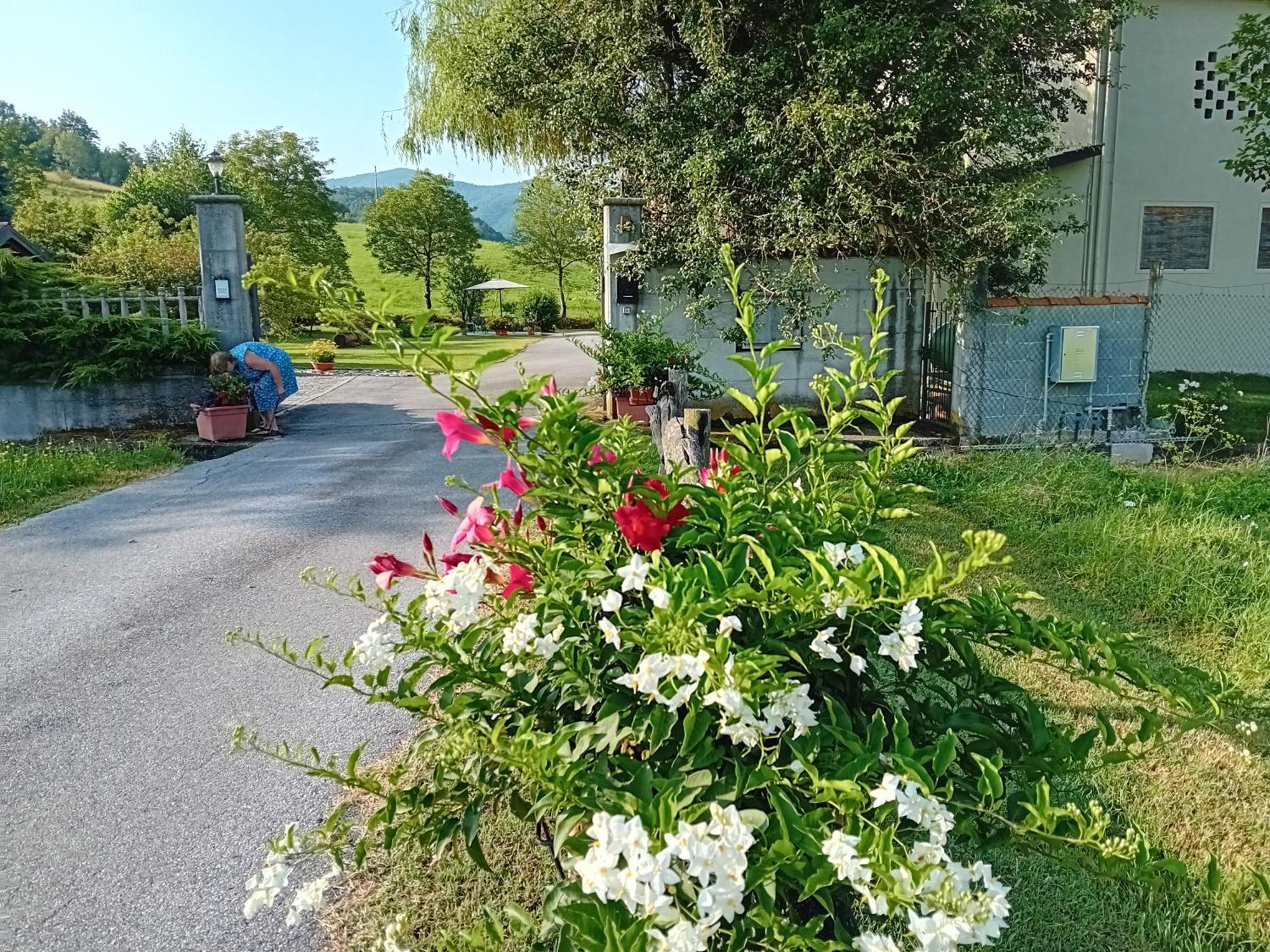 L'Isola Dla Cerrea Bed & Breakfast Mombasiglio Dış mekan fotoğraf